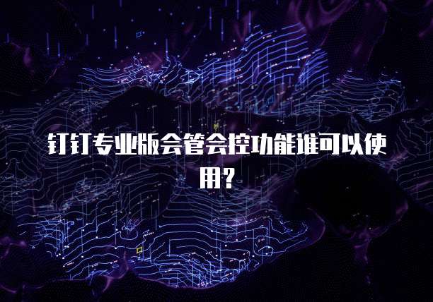 钉钉专业版会管会控功能谁可以使用?