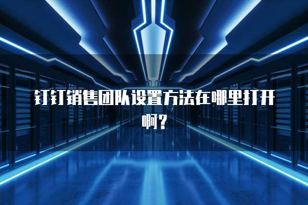 钉钉销售团队设置方法在哪里打开啊？