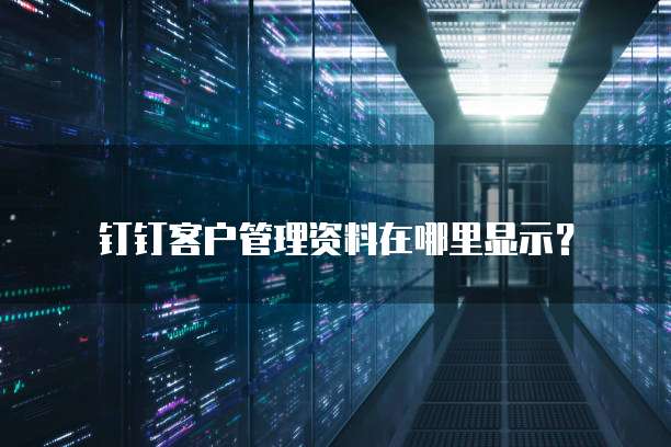 钉钉客户管理资料在哪里显示?
