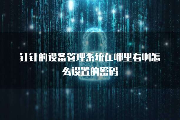 钉钉的设备管理系统在哪里看啊怎么设置的密码