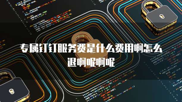 专属钉钉服务费是什么费用啊怎么退啊呢啊呢