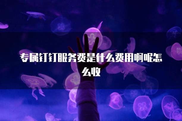 专属钉钉服务费是什么费用啊呢怎么收