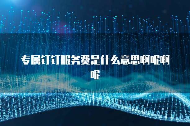 专属钉钉服务费是什么意思啊呢啊呢