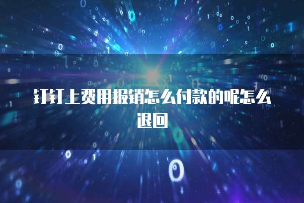 钉钉上费用报销怎么付款的呢怎么退回