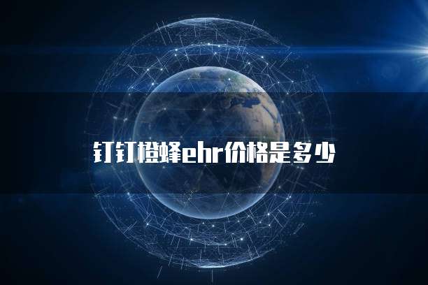 钉钉橙蜂ehr价格是多少