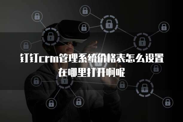 钉钉crm管理系统价格表怎么设置在哪里打开啊呢