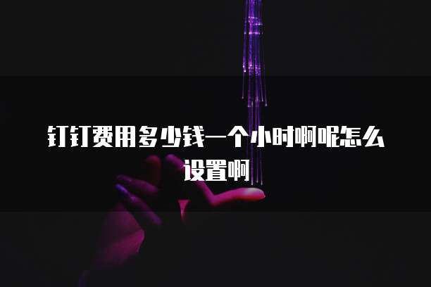 钉钉费用多少钱一个小时啊呢怎么设置啊