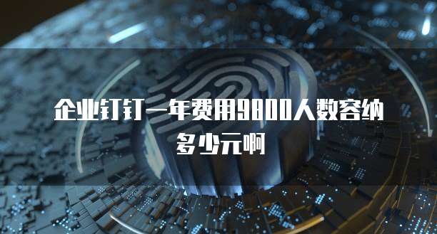企业钉钉一年费用9800人数容纳多少元啊