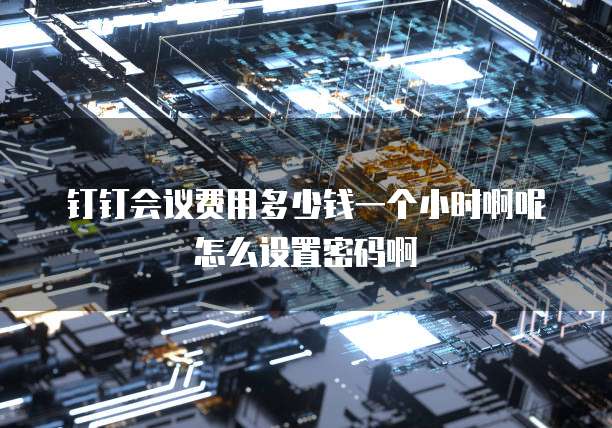 钉钉会议费用多少钱一个小时啊呢怎么设置密码啊