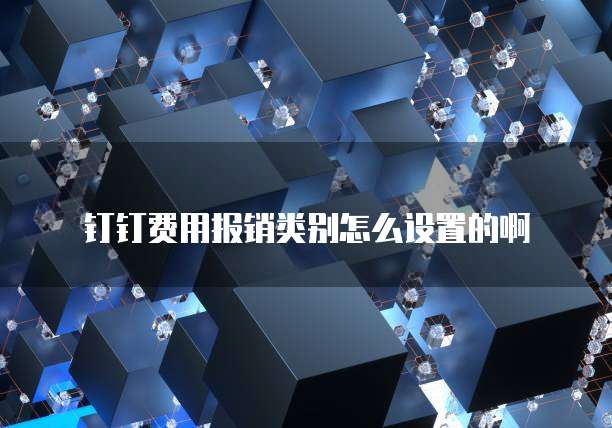 钉钉费用报销类别怎么设置的啊