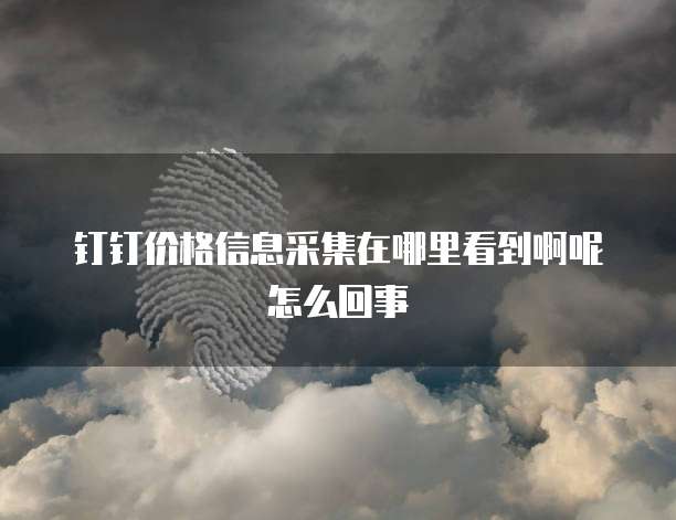钉钉价格信息采集在哪里看到啊呢怎么回事