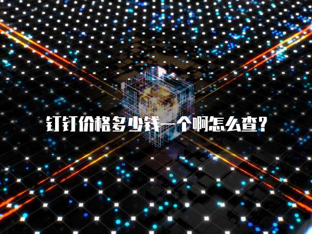 钉钉价格多少钱一个啊怎么查?