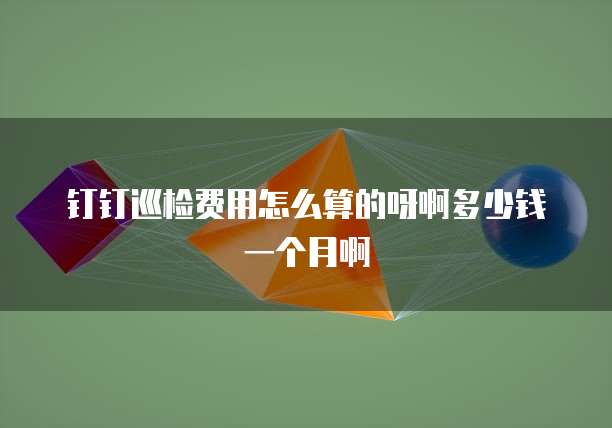 钉钉巡检费用怎么算的呀啊多少钱一个月啊