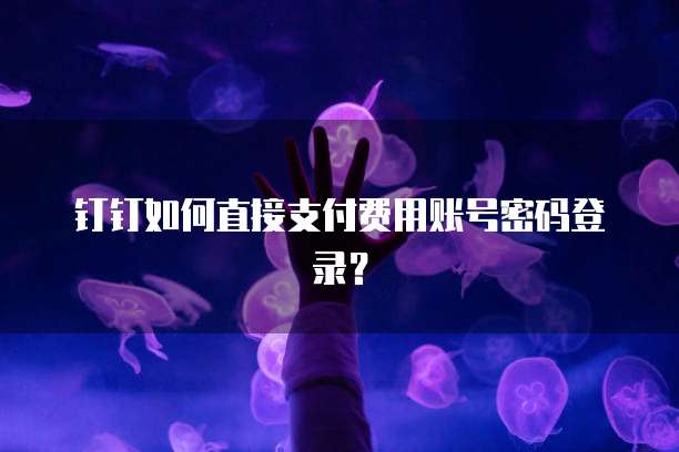 钉钉如何直接支付费用账号密码登录？