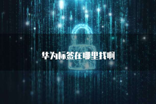 钉钉每刻报销账户信息在哪里找到的啊?