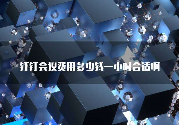 钉钉会议费用多少钱一小时合适啊