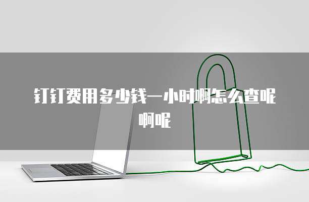 钉钉费用多少钱一小时啊怎么查呢啊呢
