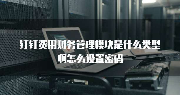 钉钉费用财务管理模块是什么类型啊怎么设置密码