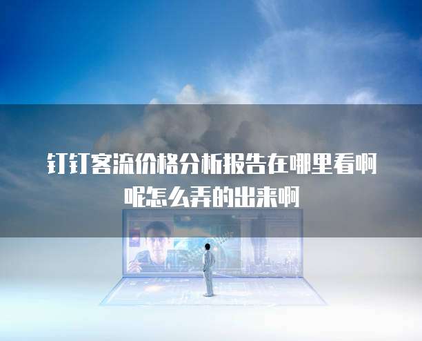 钉钉客流价格分析报告在哪里看啊呢怎么弄的出来啊