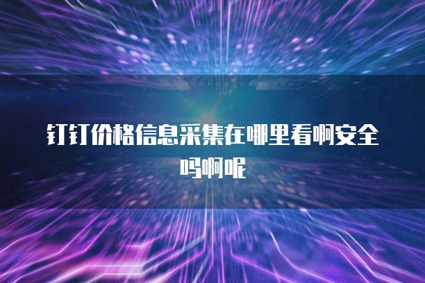 钉钉价格信息采集在哪里看啊安全吗啊呢