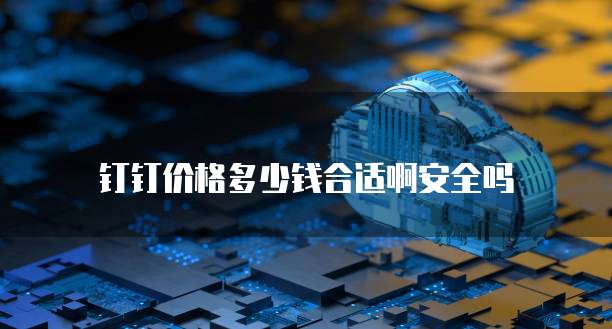 钉钉价格多少钱合适啊安全吗