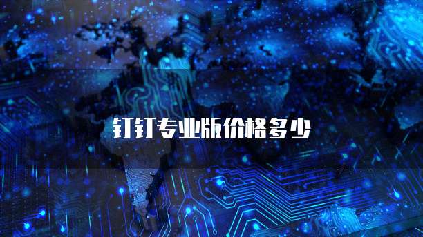 钉钉专业版价格多少