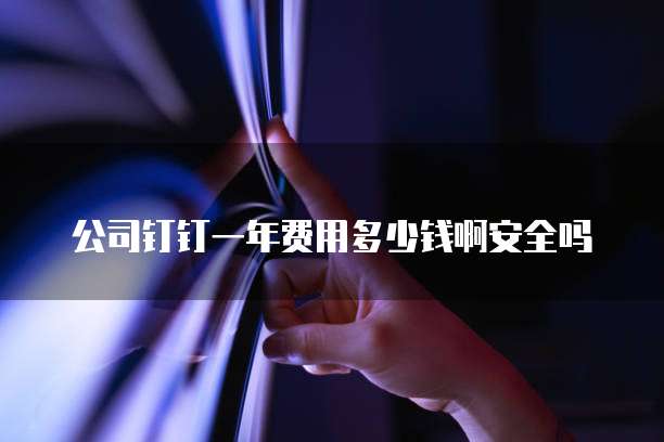 公司钉钉一年费用多少钱啊安全吗