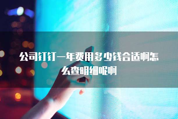 公司钉钉一年费用多少钱合适啊怎么查明细呢啊