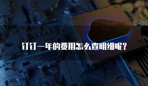 钉钉一年的费用怎么查明细呢?