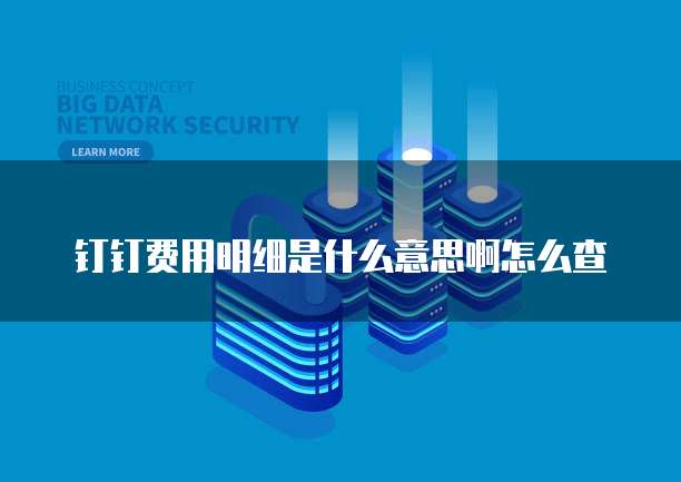 钉钉费用明细是什么意思啊怎么查