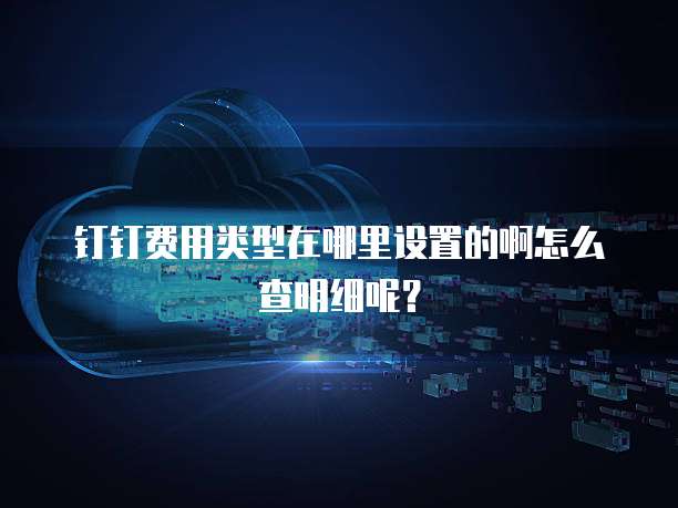 钉钉费用类型在哪里设置的啊怎么查明细呢?