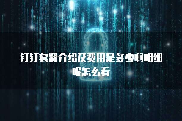 钉钉套餐介绍及费用是多少啊明细呢怎么看