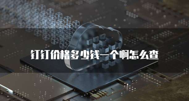 钉钉价格多少钱一个啊怎么查