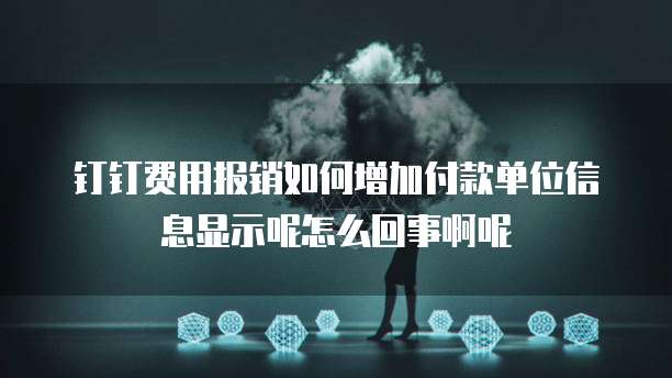 钉钉费用报销如何增加付款单位信息显示呢怎么回事啊呢