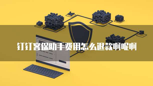 钉钉客保助手费用怎么退款啊呢啊