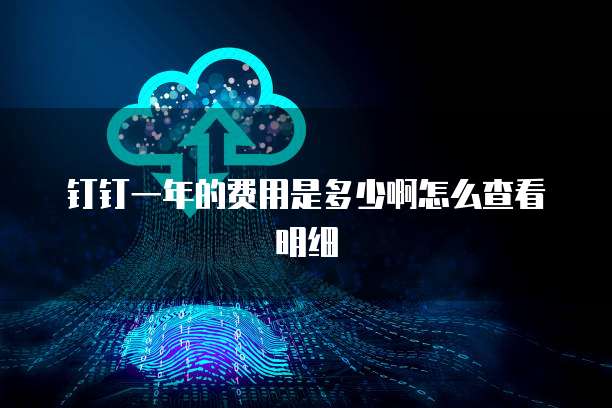 钉钉一年的费用是多少啊怎么查看明细