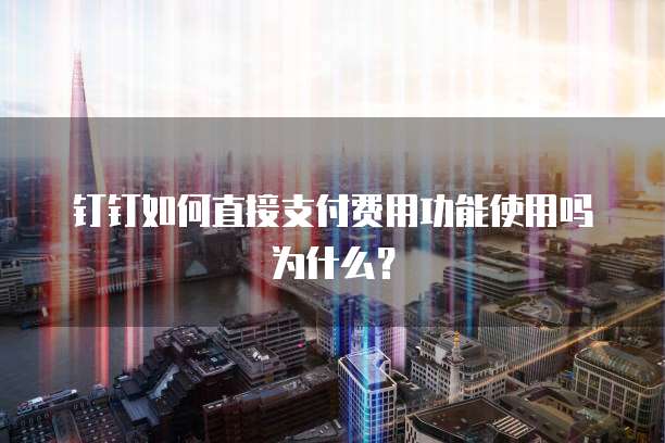 钉钉如何直接支付费用功能使用吗为什么?