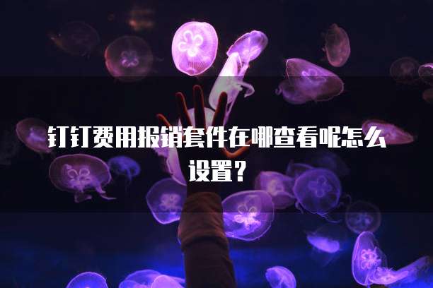 钉钉费用报销套件在哪查看呢怎么设置?