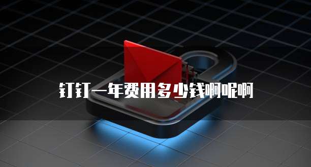 钉钉一年费用多少钱啊呢啊