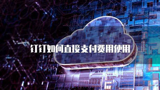 钉钉如何直接支付费用使用