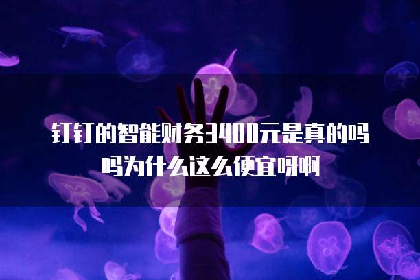 钉钉的智能财务3400元是真的吗吗为什么这么便宜呀啊