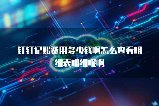 钉钉记账费用多少钱啊怎么查看明细表明细呢啊