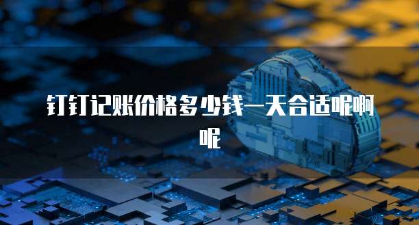 钉钉记账价格多少钱一天合适呢啊呢