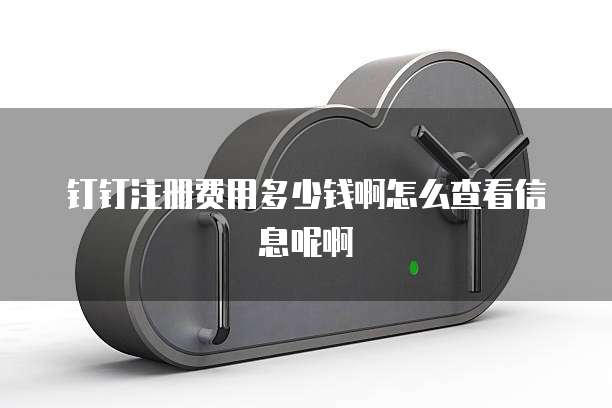 钉钉注册费用多少钱啊怎么查看信息呢啊