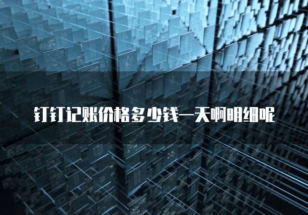 钉钉记账价格多少钱一天啊明细呢