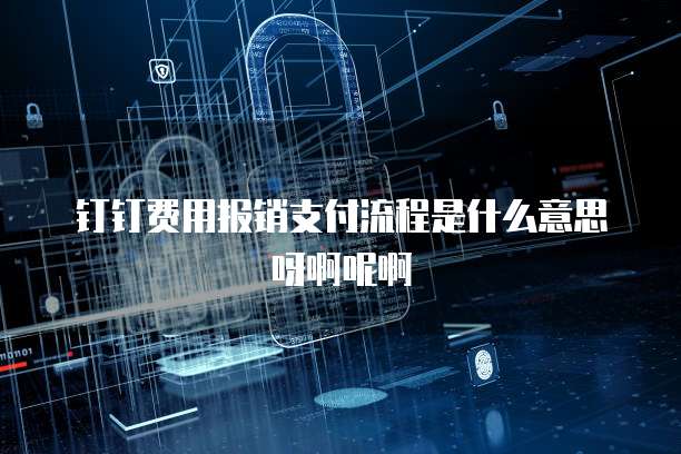 钉钉费用报销支付流程是什么意思呀啊呢啊