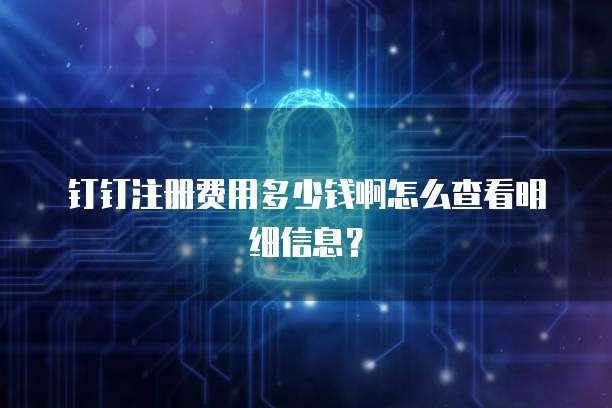 钉钉注册费用多少钱啊怎么查看明细信息?