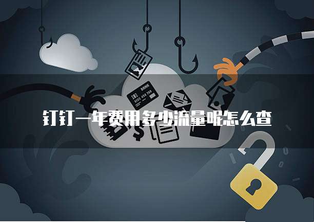 钉钉一年费用多少流量呢怎么查