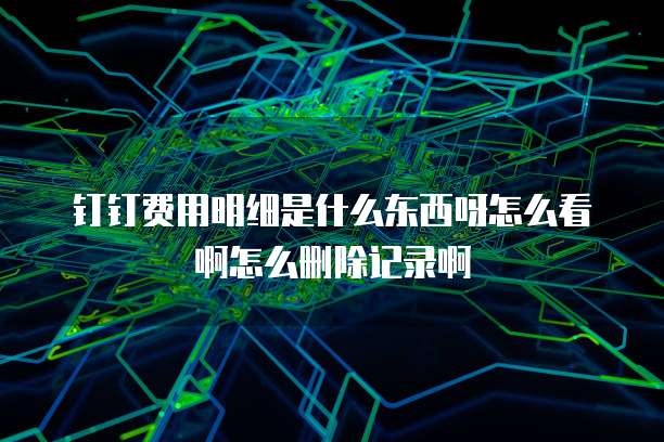 钉钉费用明细是什么东西呀怎么看啊怎么删除记录啊