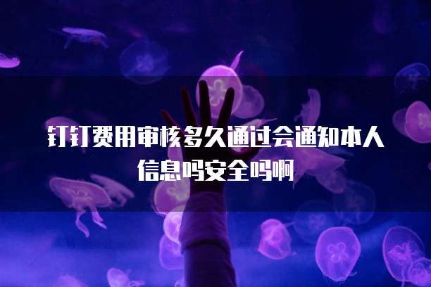 钉钉费用审核多久通过会通知本人信息吗安全吗啊